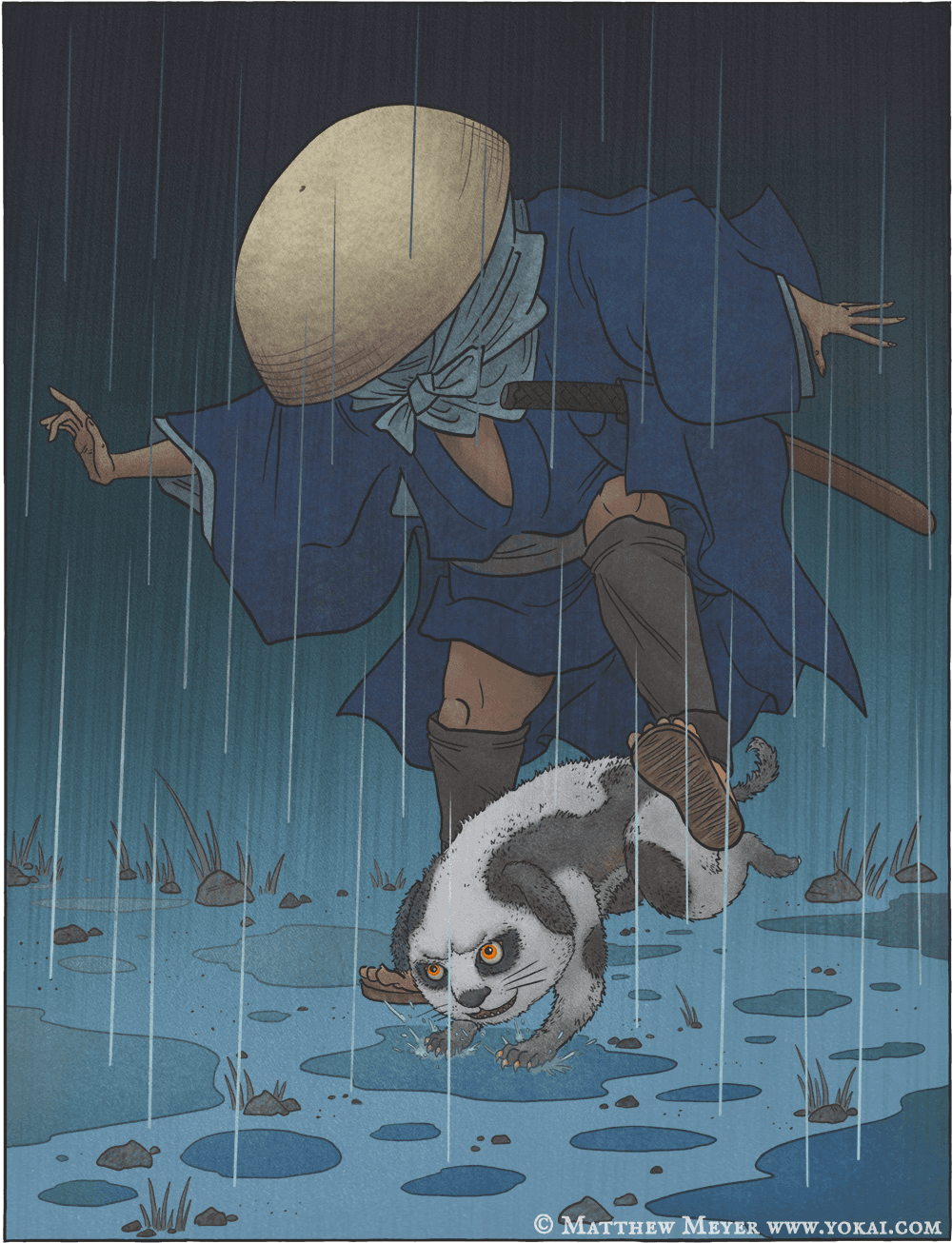 Tanuki reflection